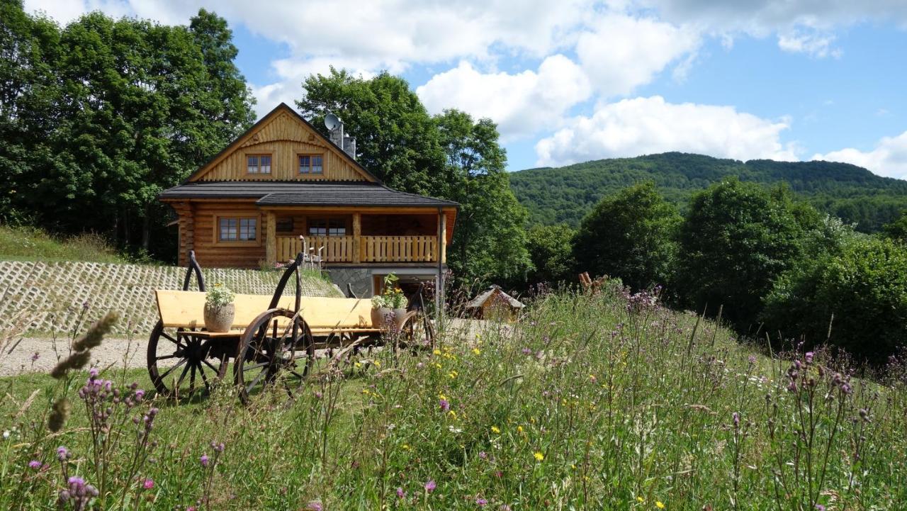 Bieszczadzkie Marzenie Wetlina Hotel Екстериор снимка